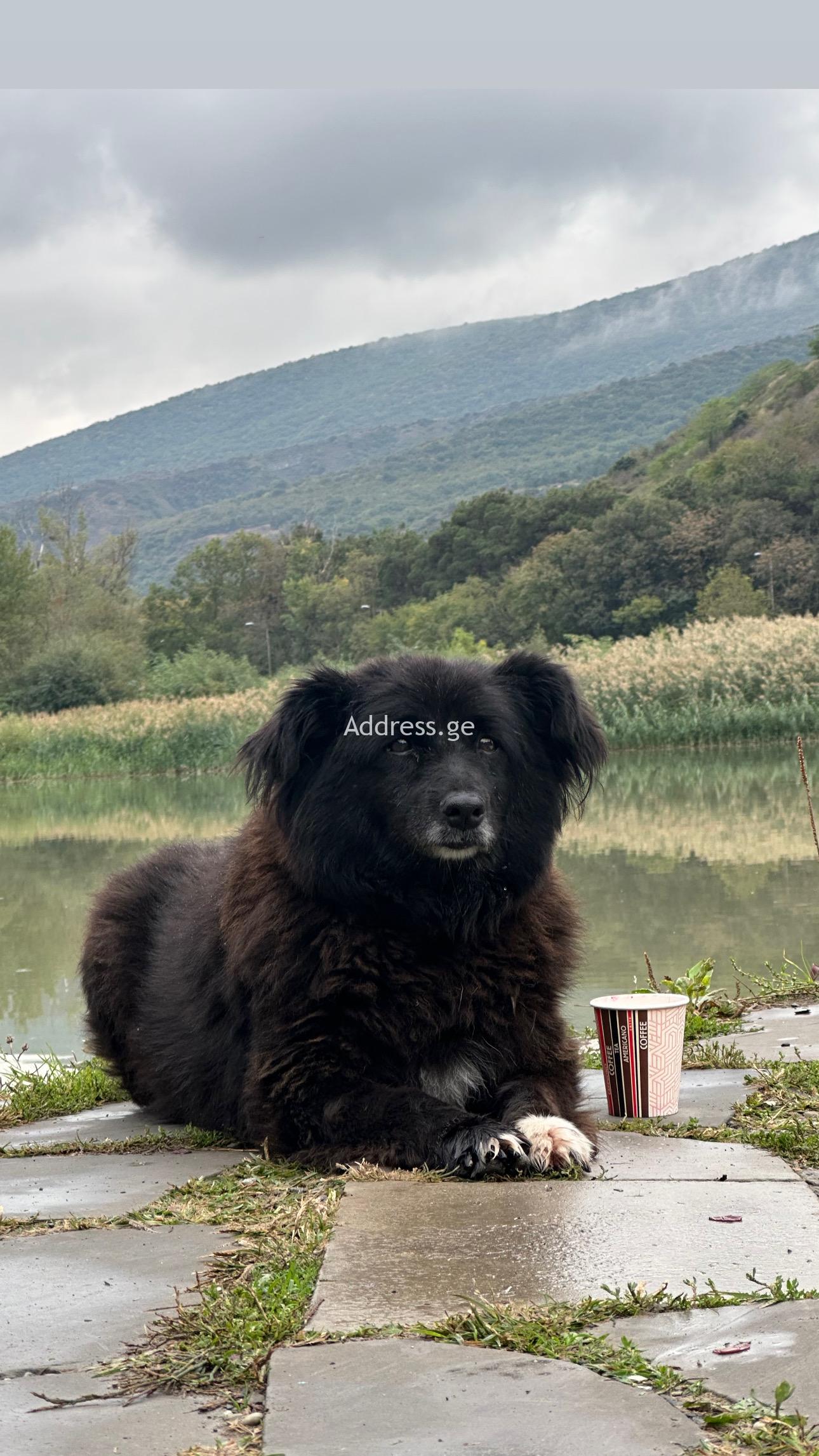 5F092BD1-B603-48AC-9376-A5B99C42E5A3